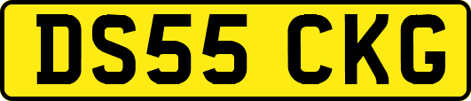 DS55CKG