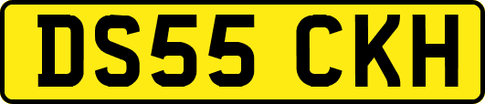DS55CKH