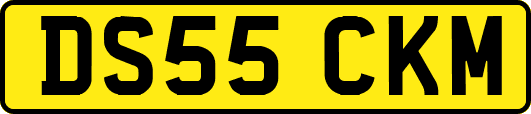 DS55CKM