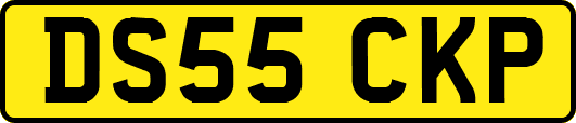 DS55CKP