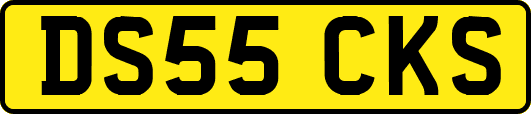 DS55CKS