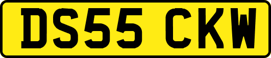 DS55CKW