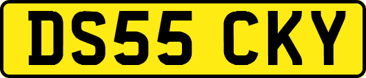 DS55CKY