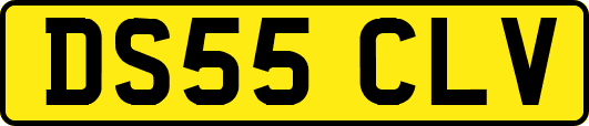 DS55CLV