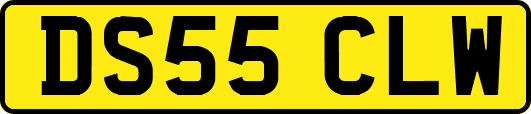 DS55CLW