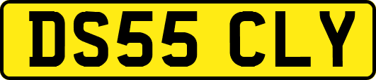DS55CLY