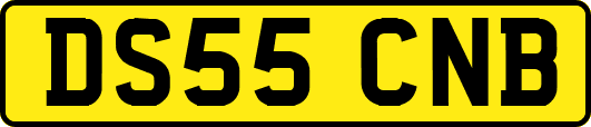 DS55CNB