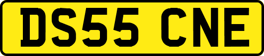 DS55CNE