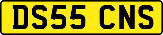 DS55CNS