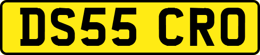 DS55CRO