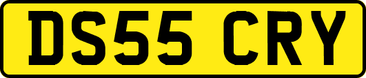 DS55CRY