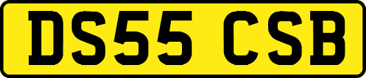 DS55CSB