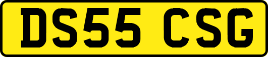 DS55CSG