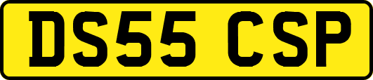 DS55CSP