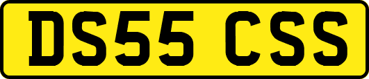 DS55CSS