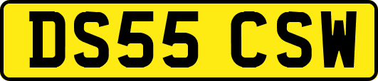 DS55CSW