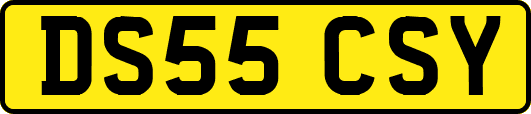 DS55CSY