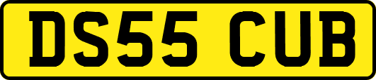 DS55CUB