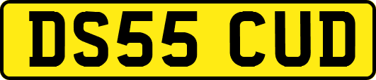 DS55CUD