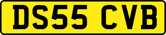 DS55CVB
