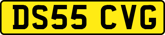 DS55CVG