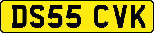 DS55CVK