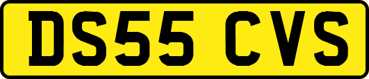 DS55CVS