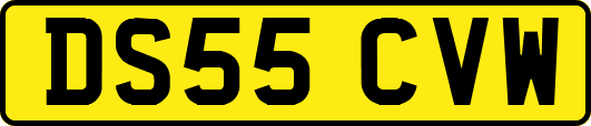 DS55CVW