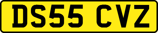 DS55CVZ
