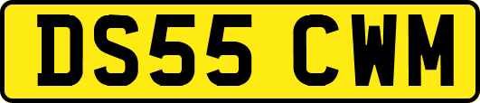 DS55CWM