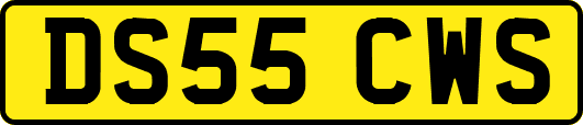 DS55CWS