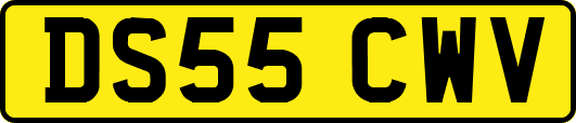 DS55CWV