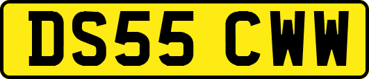 DS55CWW