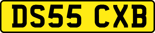 DS55CXB