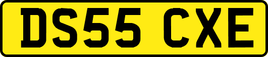 DS55CXE