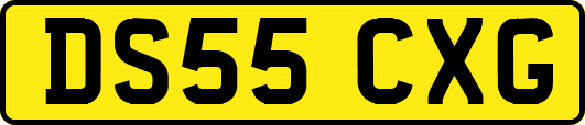 DS55CXG