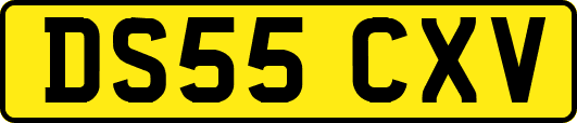 DS55CXV