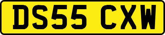 DS55CXW