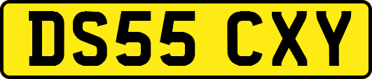 DS55CXY