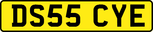 DS55CYE