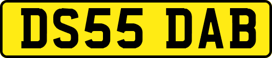 DS55DAB