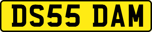 DS55DAM