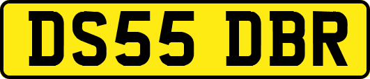DS55DBR