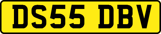 DS55DBV