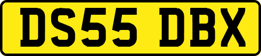 DS55DBX