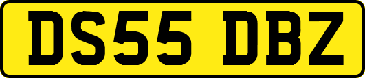 DS55DBZ