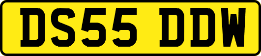 DS55DDW