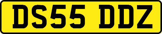 DS55DDZ