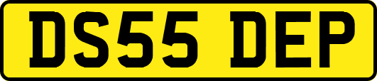 DS55DEP