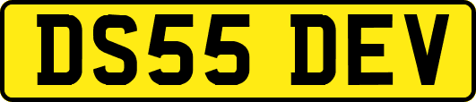 DS55DEV